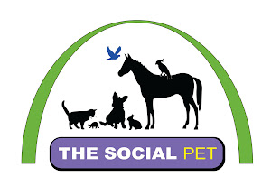 The Social Pet
