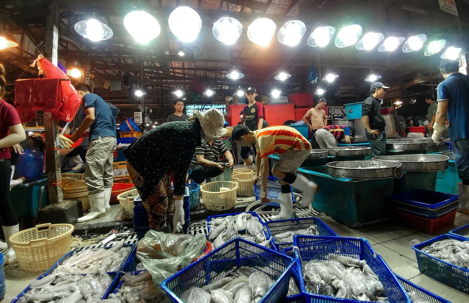 Top 10 Vựa hải sản Sài Gòn TPHCM tươi sống lớn nhất giá rẻ đáng mua