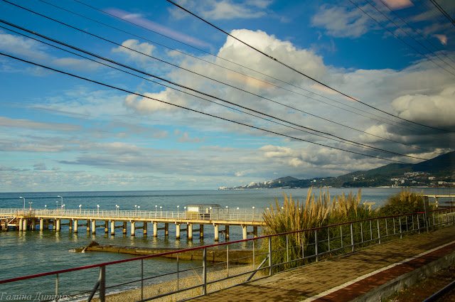 Путешествия: Сочи в ноябре: набережная, парк Дендрарий, канатная дорога