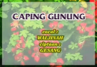 Lirik Lagu Caping Gunung