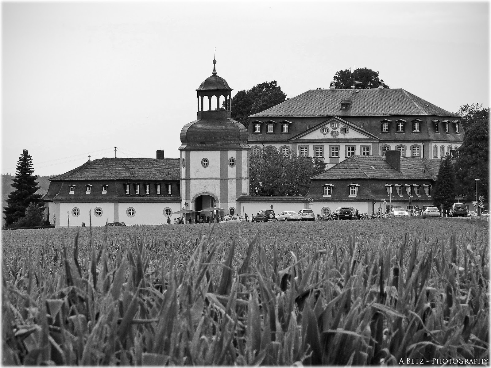 Blog Search Page 141 Pirckheimer Gesellschaft