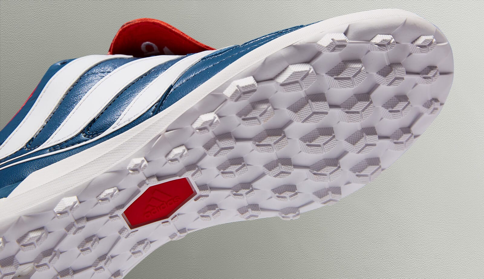 predator accelerator tf