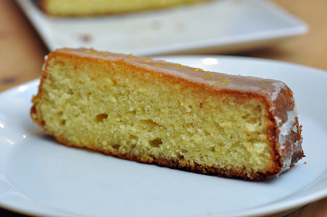 Die Küchenschabe: 01.02.17 - 01.03.17