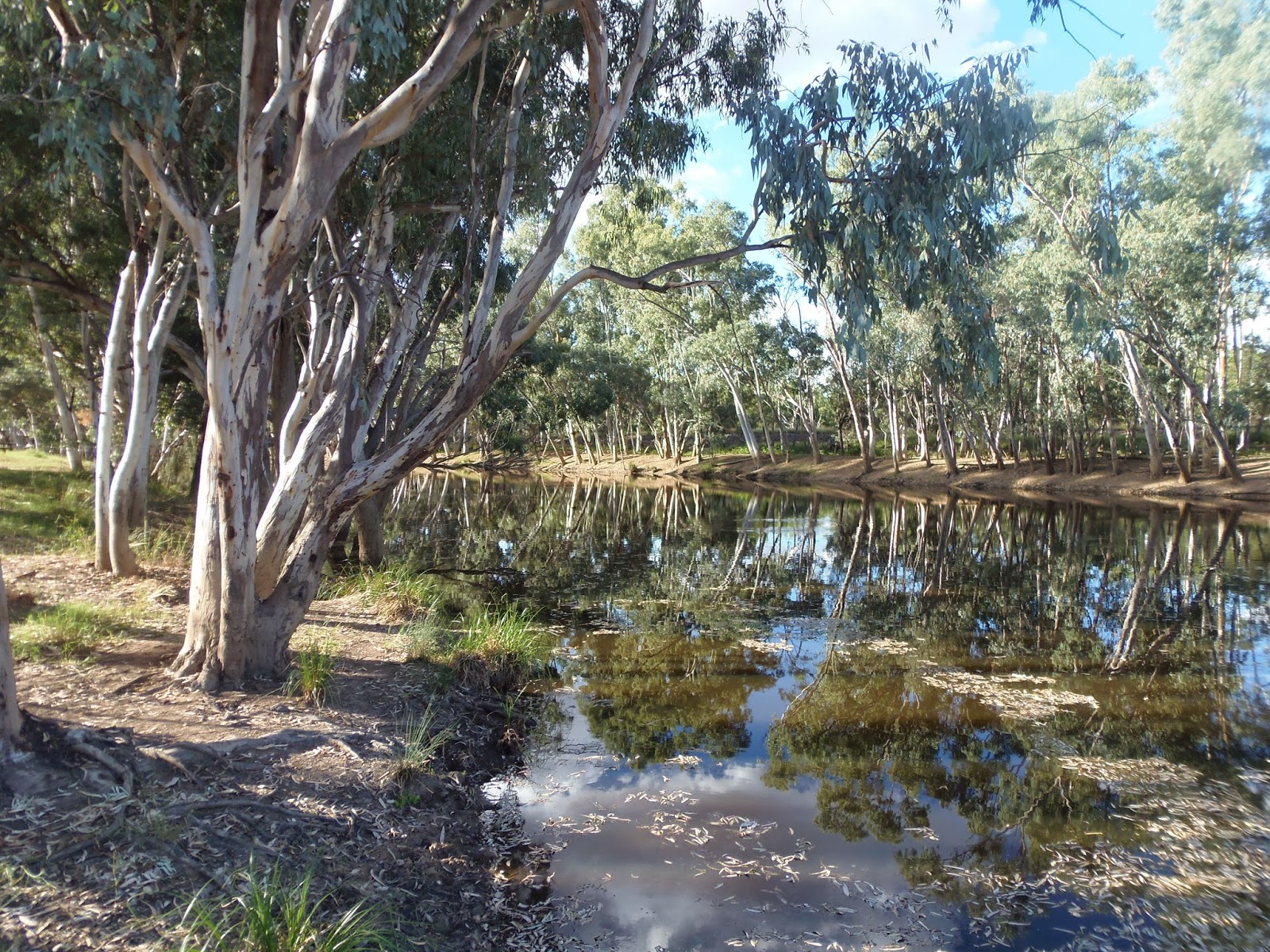 Solo Steve On The Road LLOYD JONES WEIR BARCALDINE Qld