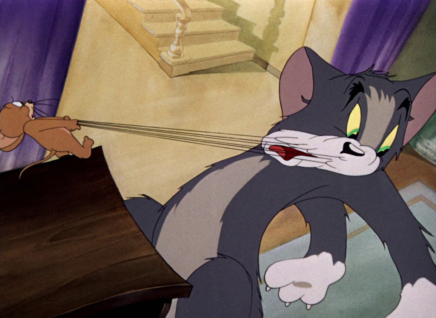 Tom Amp Jerry Pictures Quot Dog Trouble Quot