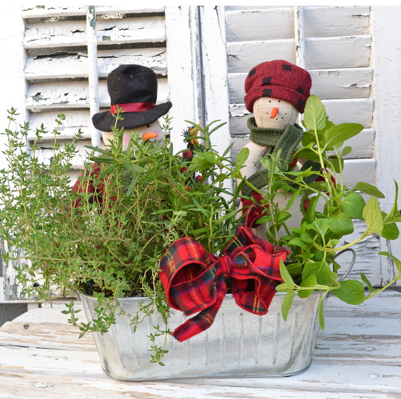 My Painted Garden Christmas Traditions / Garden Gifts