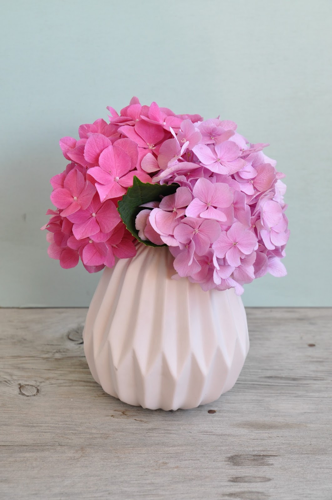 lemapi - südtiroler lifestyleblog: buttermilch marillen muffins [+ rezept]