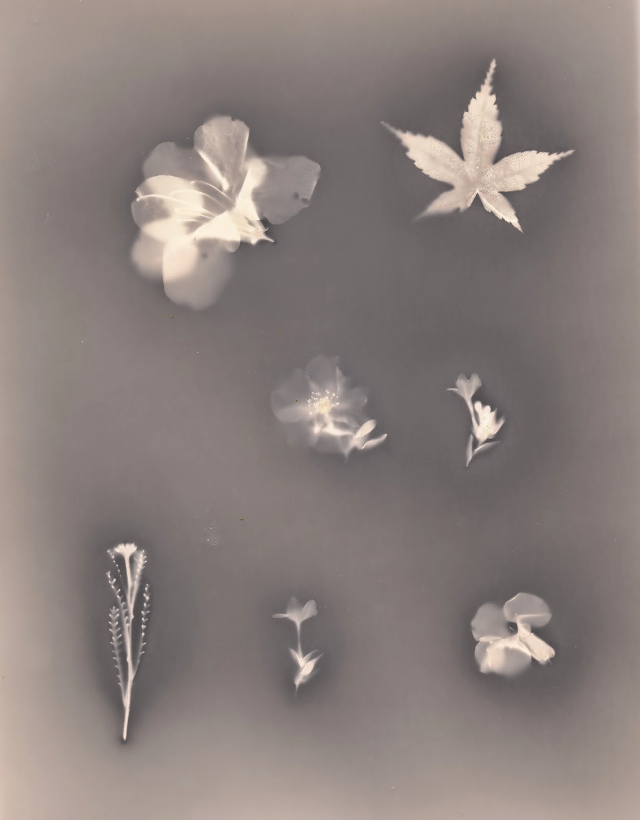 What to do with Old Photographic Paper That isn't Useful for Prints