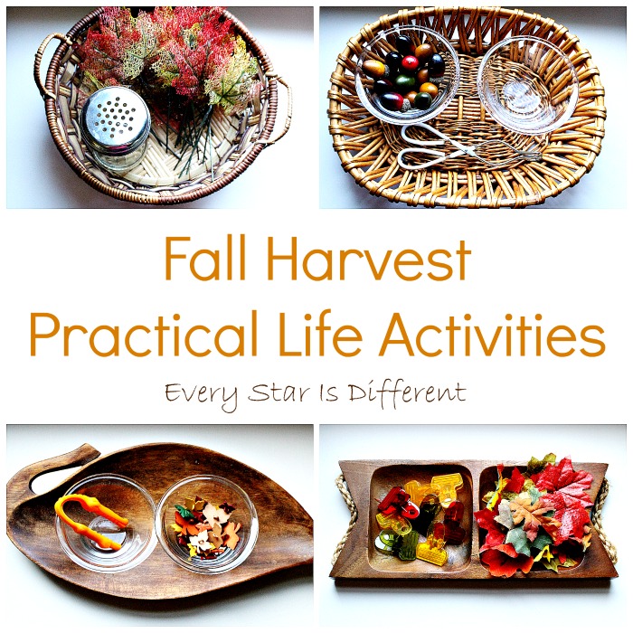 Fall Harvest Practical Life Activities