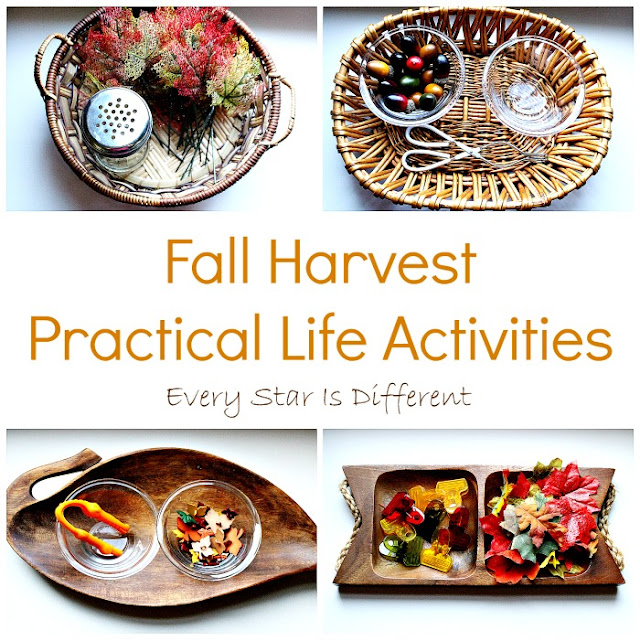 Fall Harvest Practical Life Activities for Preschoolers