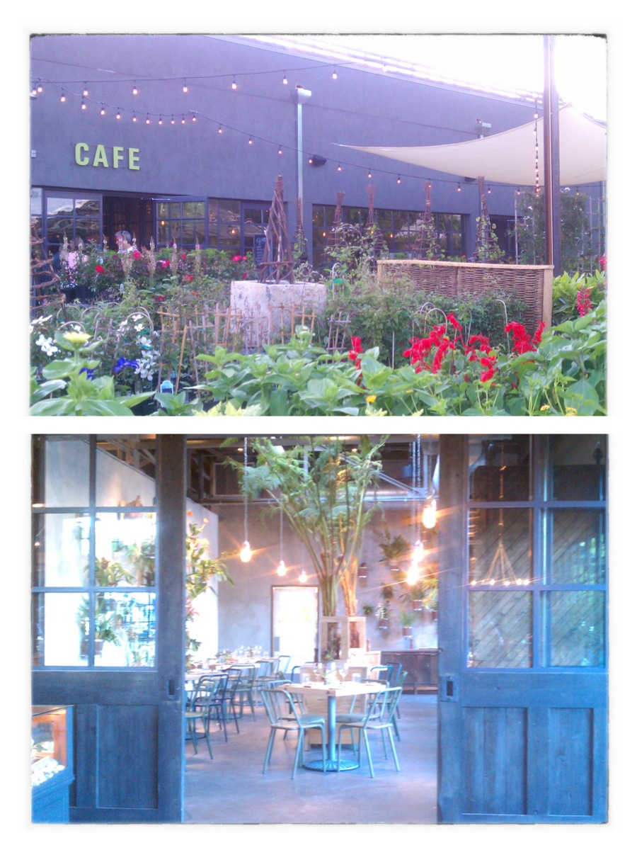 Misc Magenta Terrain at Westport