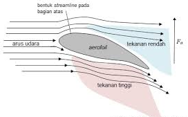 MEDIA BELAJAR: GERAK PADA HEWAN : Gerak Hewan di Udara