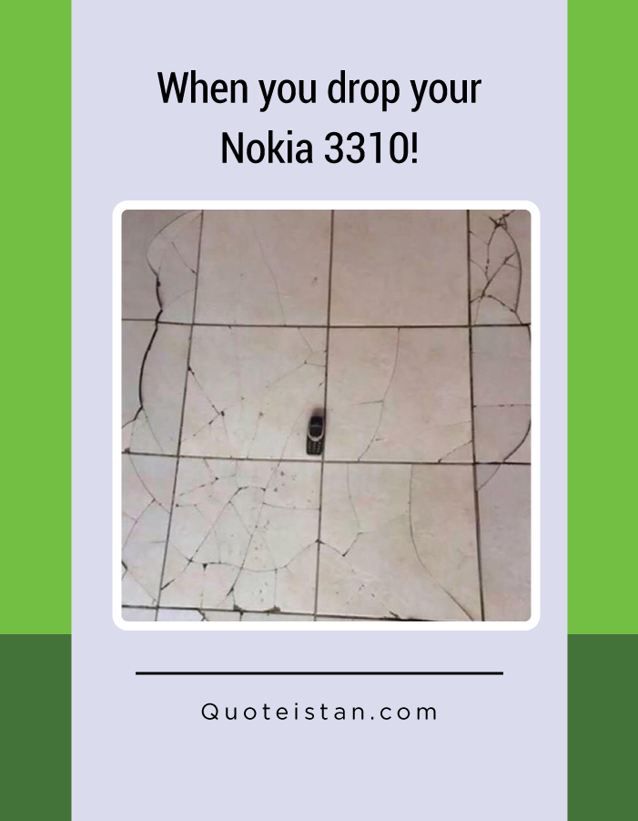 When you drop your Nokia 3310!