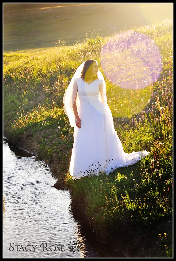 Stacy Rose Photography