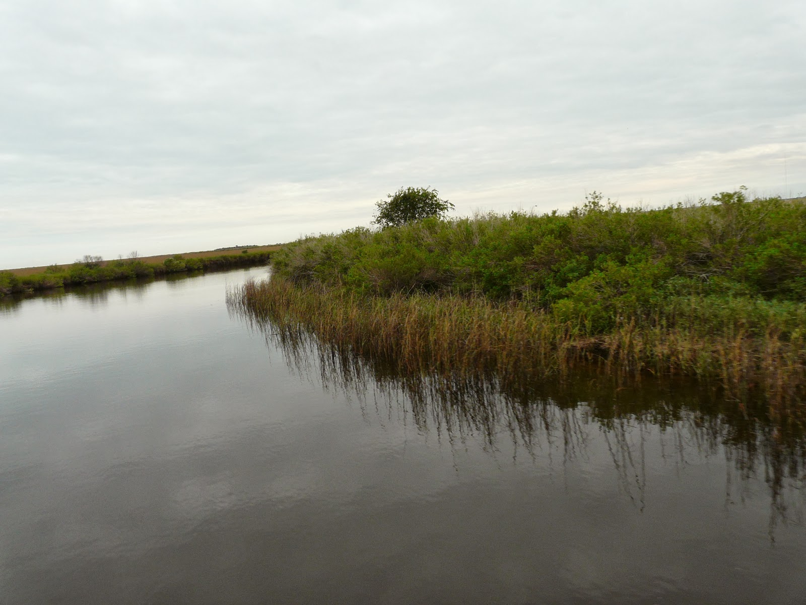 Archiving throughout Arizona, New Mexico, Oklahoma, and Texas San