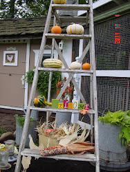 chicken coop fall ladder shabby chic decor hen dressed decorations squash pumpkins apples seasonal placed gourds corn variety indian mini