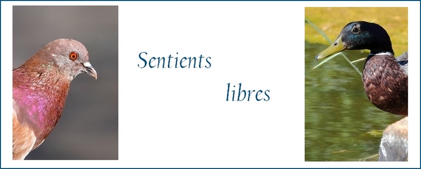 Sentients libres