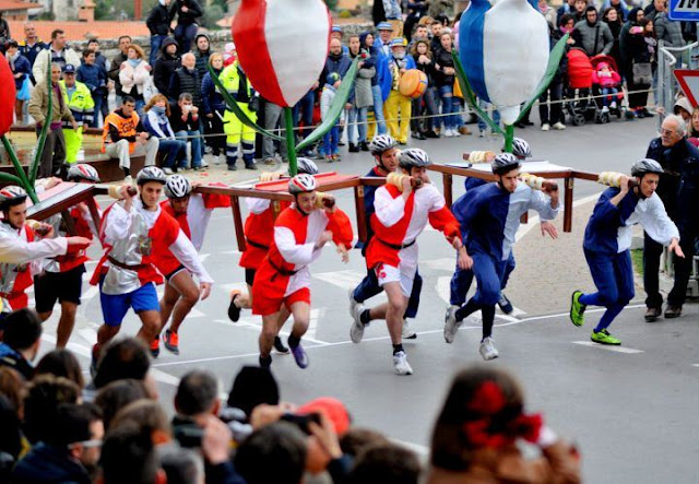 palio-tulipani-petaloso-castiglione-del-lago-corsa