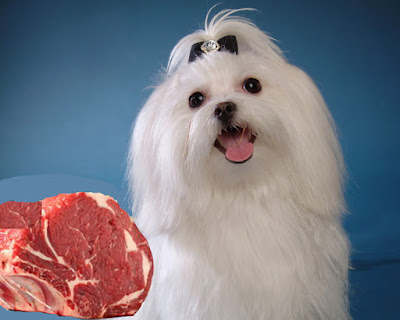 carne cruda para los perros