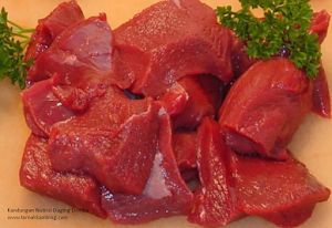 Manfaat dan Kandungan Gizi Daging Domba Manfaat dan Kandungan Gizi Daging Domba