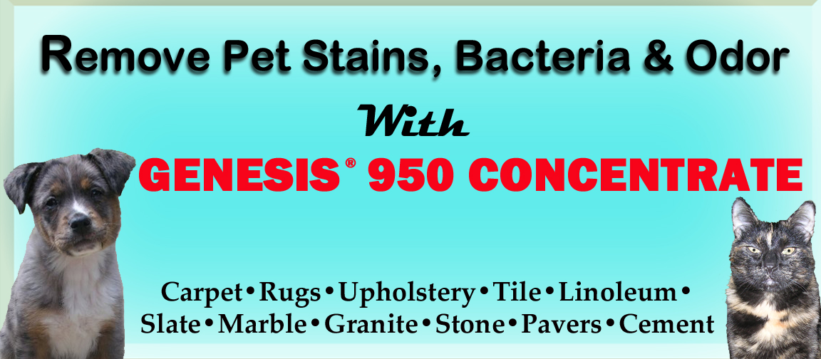 Genesis 950 Cleaning Tips And Tricks Remove Cat Stains And Odors