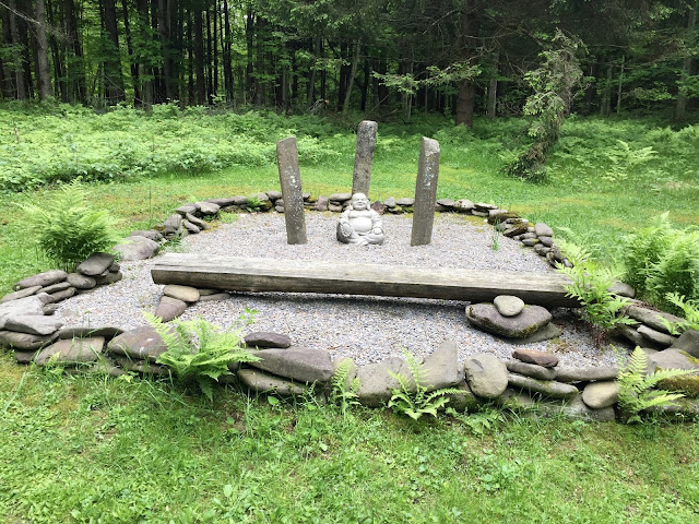 Wellnesste Lodge Wellnesste Lodge review