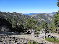 View west toward Windy Gap and Mt. Islip from Dawson Saddle Trail