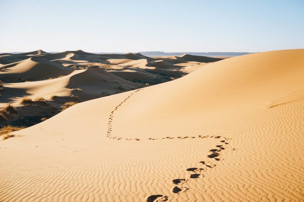 Read 52 Books in 52 Weeks: BW36: Nomadic September in the heat