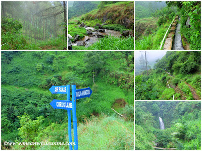 Jalan menuju Curug dengan beberapa pilihan Curug papan penanda curug muncar Jalan menuju Curug dengan beberapa pilihan Curug papan penanda curug muncar