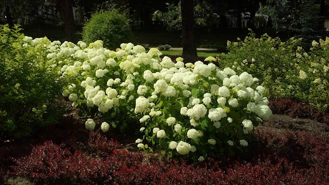 20170710_145829.jpg