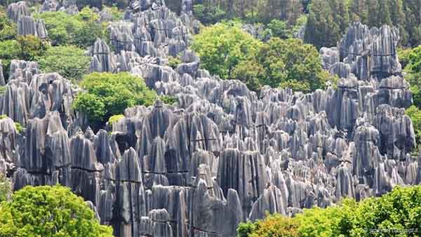The Stone Forest in China