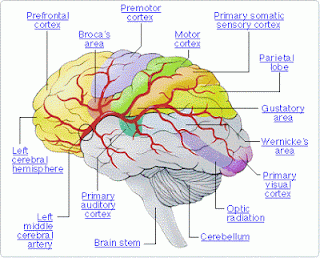 Tell me why the world is weird: Top 6 Nerds of the Bible