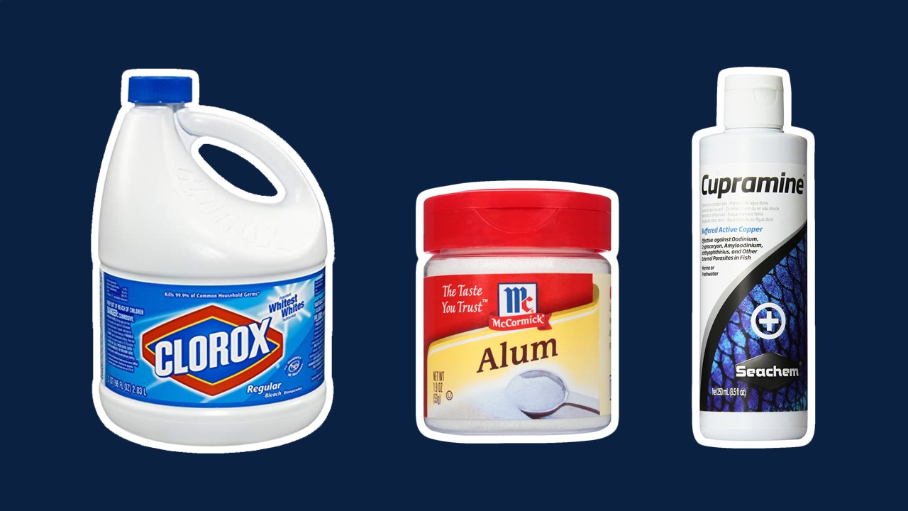 A GAMER'S WIFE Aquarium Plant Dips for Snails Bleach, Alum & Copper