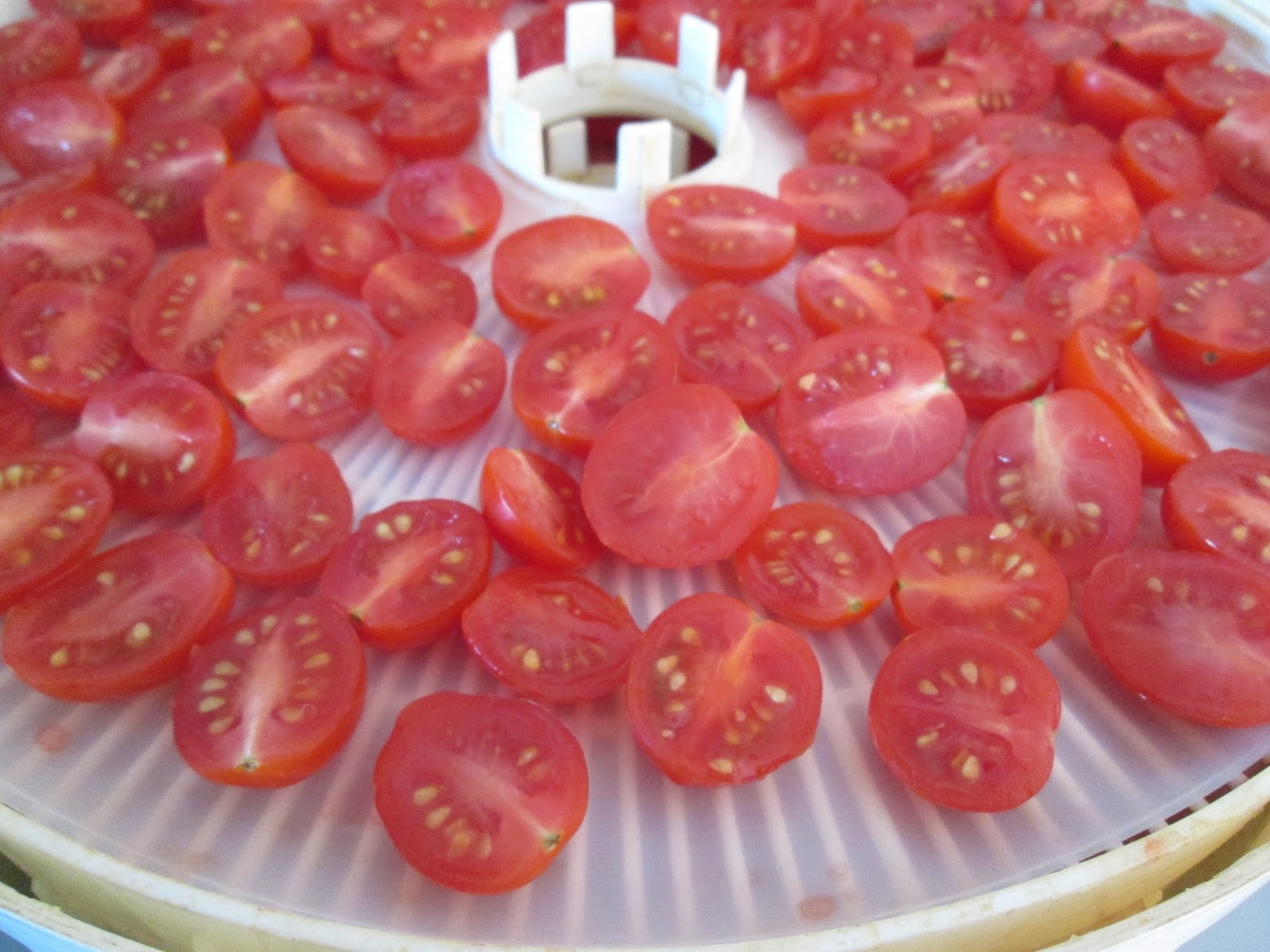 Wild Thyme Creations Dehydrating Cherry Tomatoes