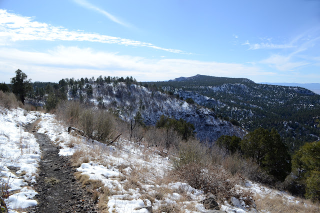 Mingus Mountain