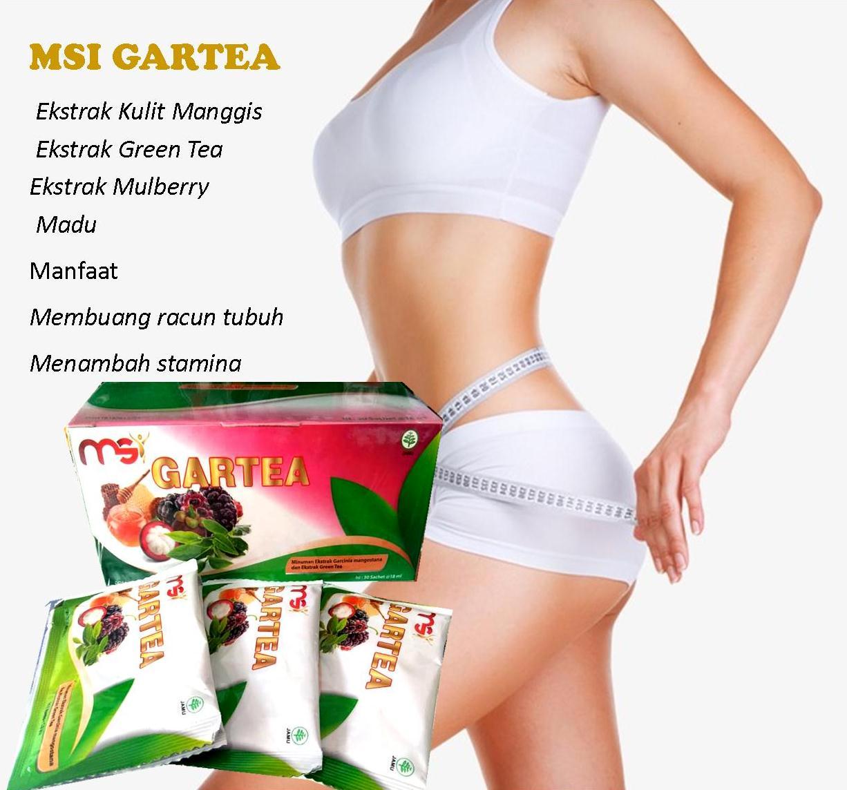 ORDER MSI GARTEA