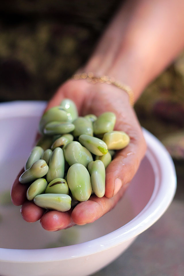 [Indian Recipes] Fresh Fava Bean & Almond Spread All Asian Recipes