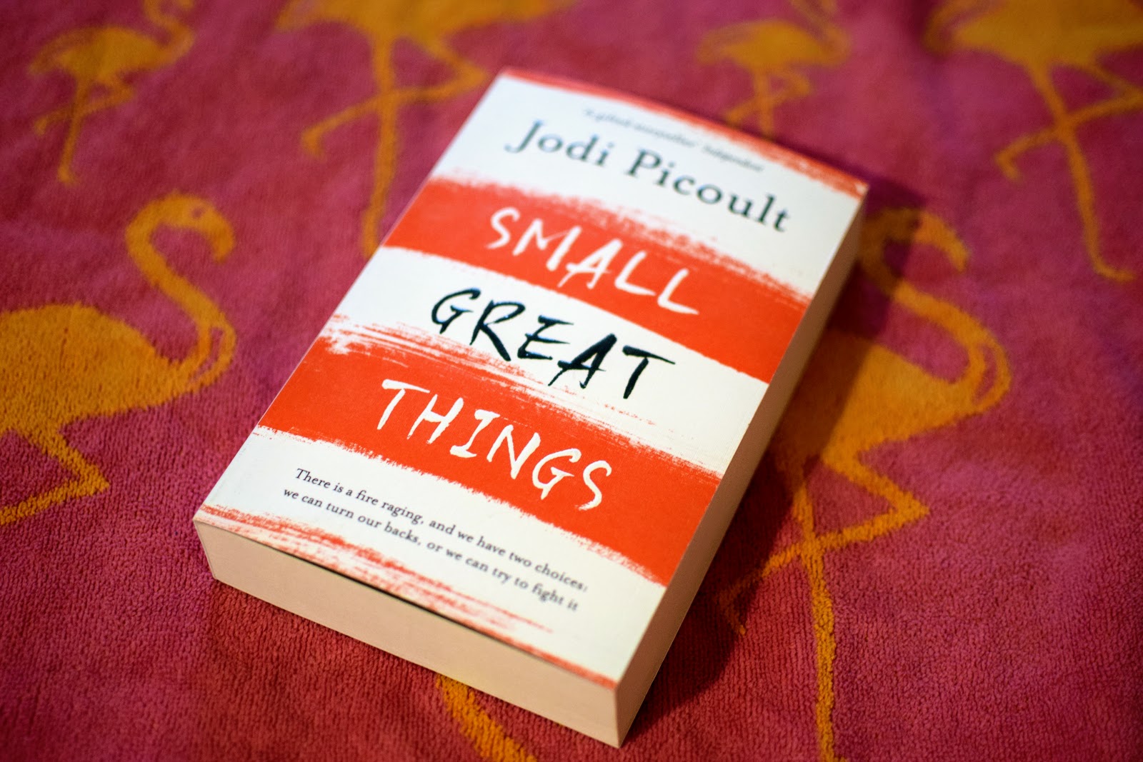 Books The Top Ten Summer Reads 2017 Diary of the EvansCrittens