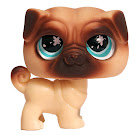 Littlest Pet Shop Collectible Pets Pug (#623) Pet
