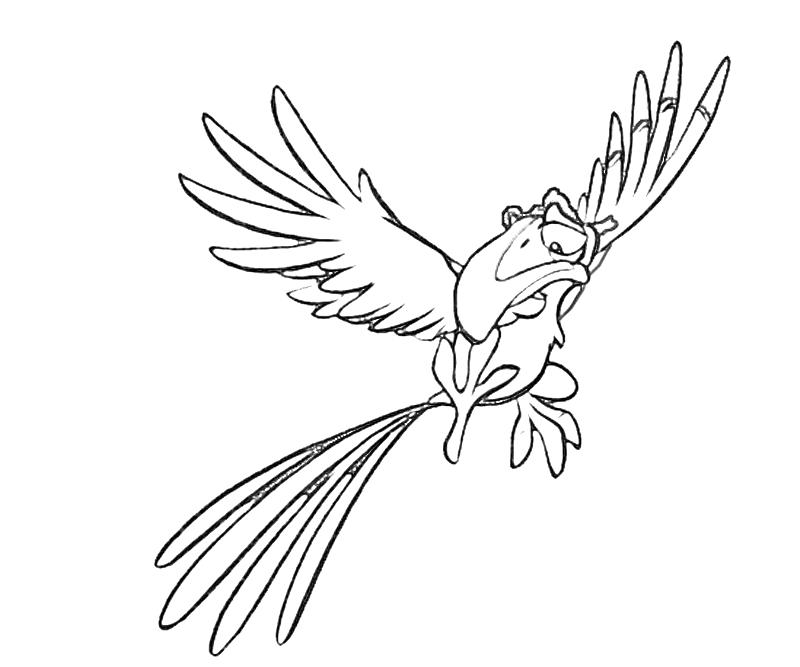 zazu coloring pages - photo #6