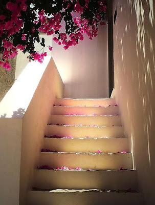 Escalera Flores Stairs