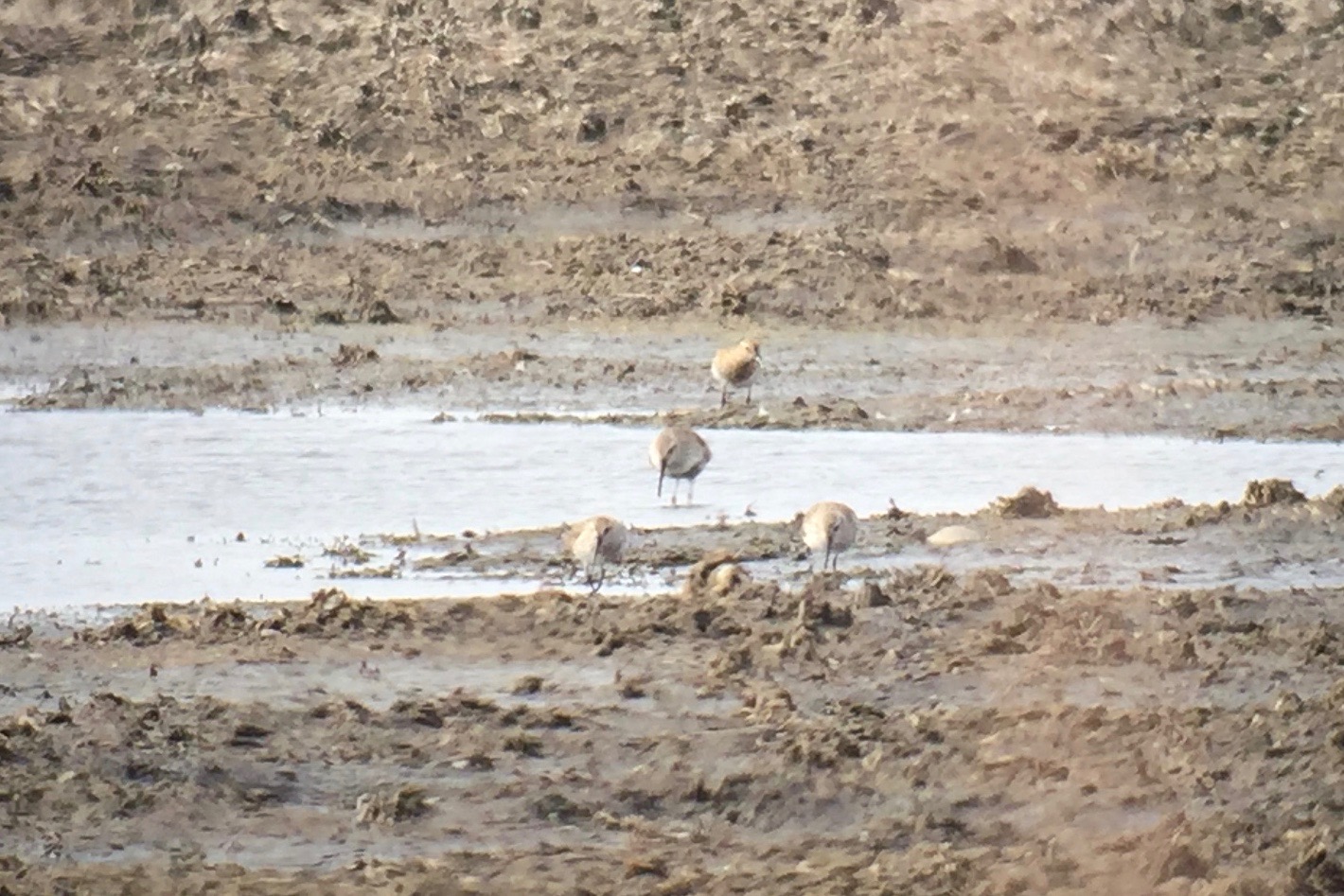 Arcticory... Hawkeyes vs. eagle eyes