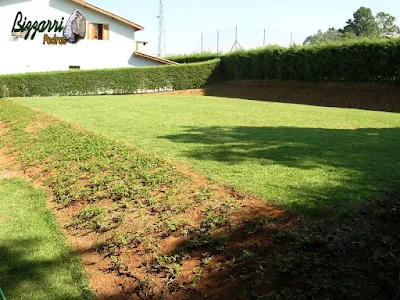 Construção do campo de futebol com o gramado de grama esmeralda, em volta a cerca viva com cipreste e nos taludes o plantio de grama amendoim em casa em condomínio em Atibaia-SP.