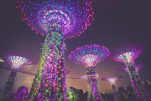What to do in Singapore 