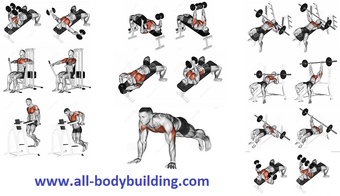 Best Way To Build Your Chest At Home Best Way To Build Your Chest At Home