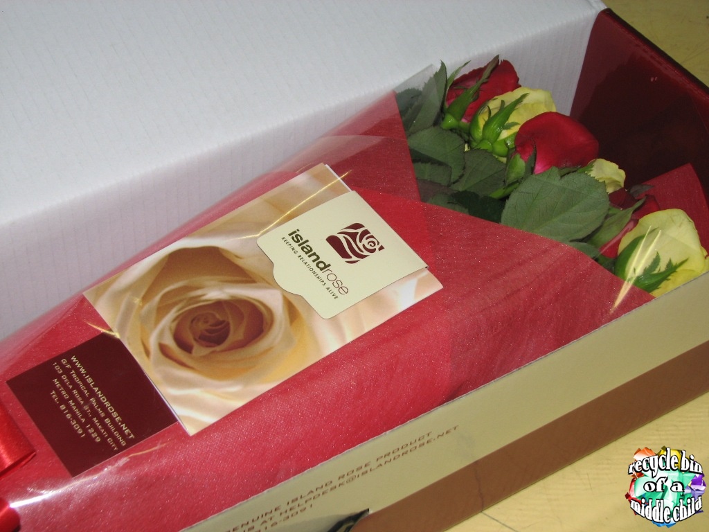 Philippine Directory Island Rose Delivery