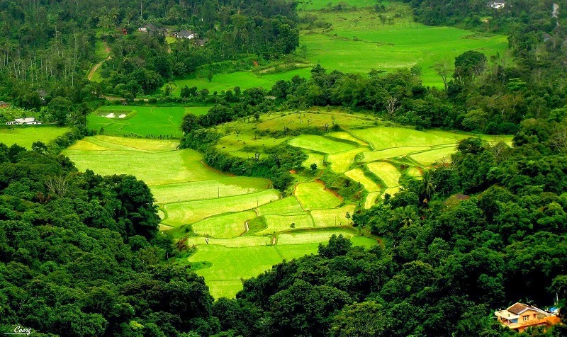 Pictureque Landscape of Coorg makes it a Popular Hill Station in India