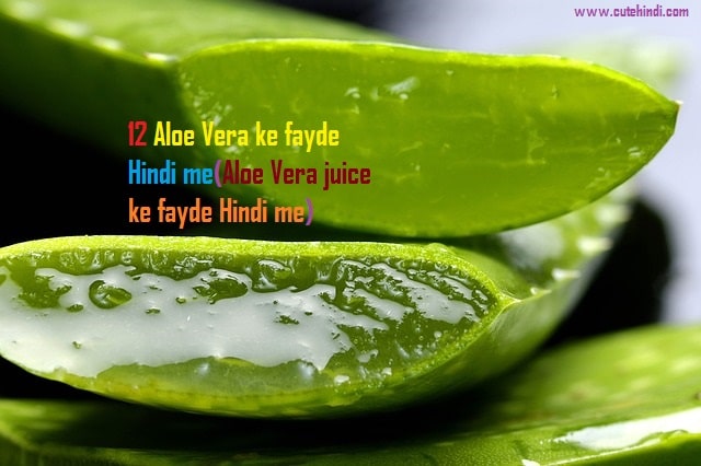 12 Aloe Vera ke fayde Hindi me(Aloe Vera juice ke fayde Hindi me)