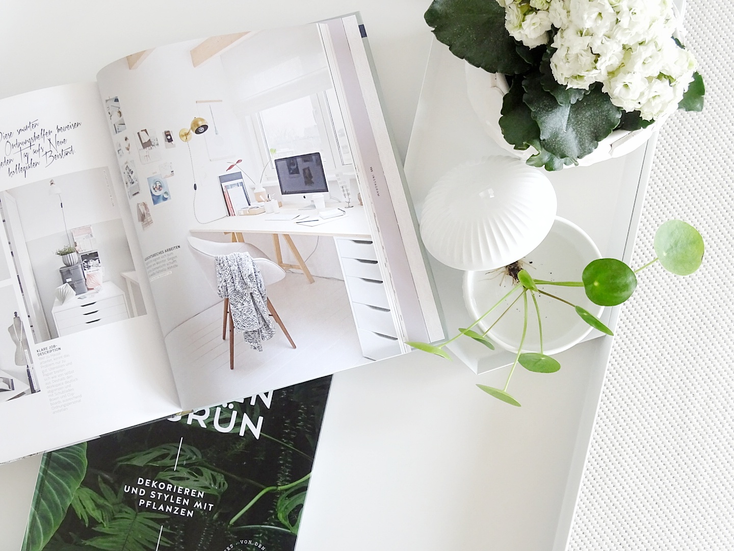 Deko-Ideen und Blumensträuße mit Pflanzen | http://mammilade.blogspot.de | Personal Lifestyle, DIY and Interior Blog Deko-Ideen mit Pflanzen | Pilea Peperomioides | Lieblinge und Inspirationen der Woche | Personal Lifestyle, DIY and Interior Blog | Auf der Mammiladen-Seite des Lebens