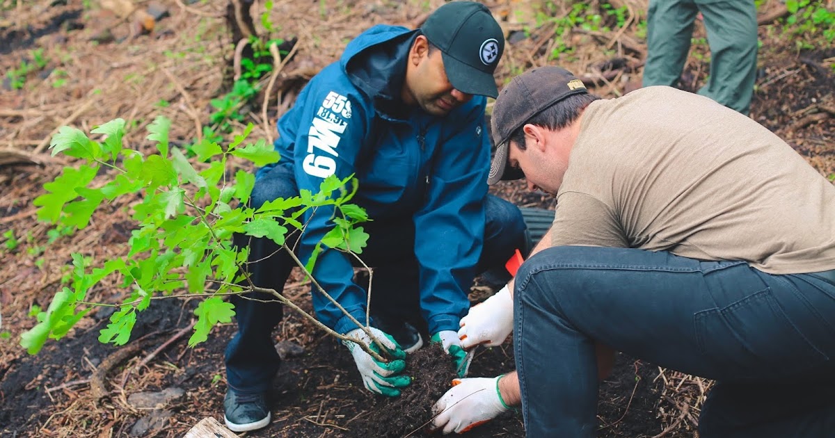 PA Environment Digest Blog Help Tree Pittsburgh Plant 1,000 Trees On